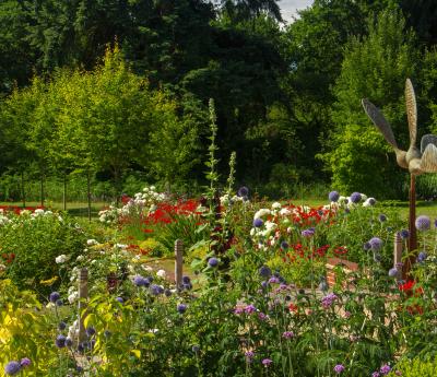 Beautiful Gardens Celebrate Phyllis’s 40th