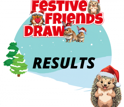 Festive Friends Draw Results